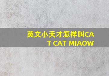 英文小天才怎样叫CAT CAT MIAOW